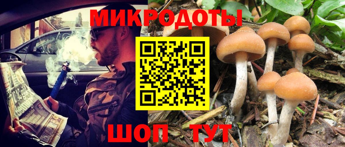 Клин  наркошоп  Вход с VPN  Псилоцибиновые грибы мицелий 