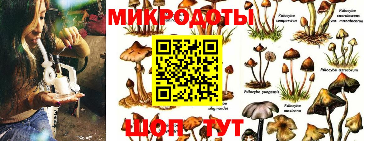 Псилоцибиновые грибы Psilocybine cubensis Клин